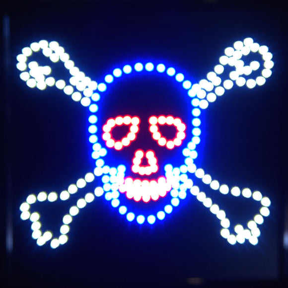 19x19 LED Neon Sign Lighting by Tripact Inc - 2 Swtiches: Power & Animation for Business Identification - Skull n Bones