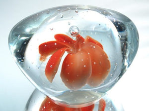 M Design Art Handcraft Glass Butterfly in Crystal Handmade Glass Paperweight