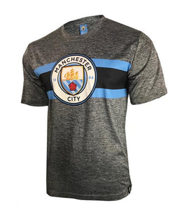 Manchester City Men's Printed Logo Tee - Gray