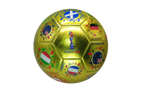 2019 Women World Cup's France Official Licensed Soccer Ball Size 5   01-4