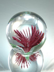 M Design Art Handcraft Glass Goldplated Sea Wave Handmade Paperweight