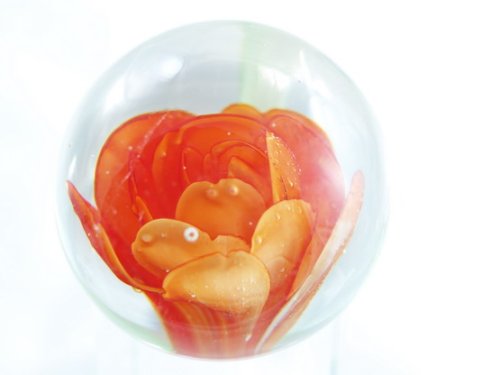 M Design Art Handcraft Orange Rose Handmade Glass Paperweight 04