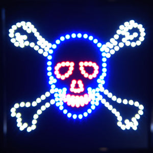 19x19 Neon Sign LED Lighting - 2 Swtiches: Power & Animation for Business Identification by Tripact Inc - Skull n Bones