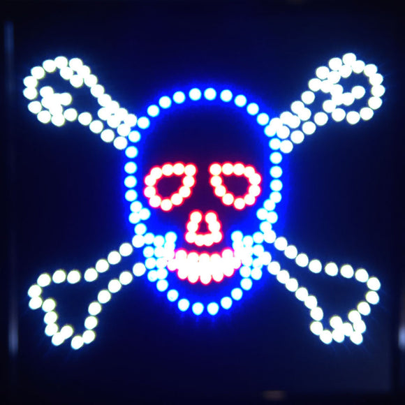 19x19 LED Neon Sign Lighting by Tripact Inc - 2 Swtiches: Power & Animation for Business Identification - Skull n Bones